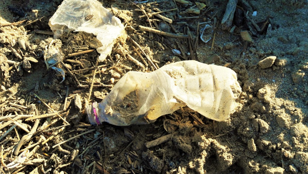 Entrata in vigore della Direttiva dell’UE sulla plastica monouso