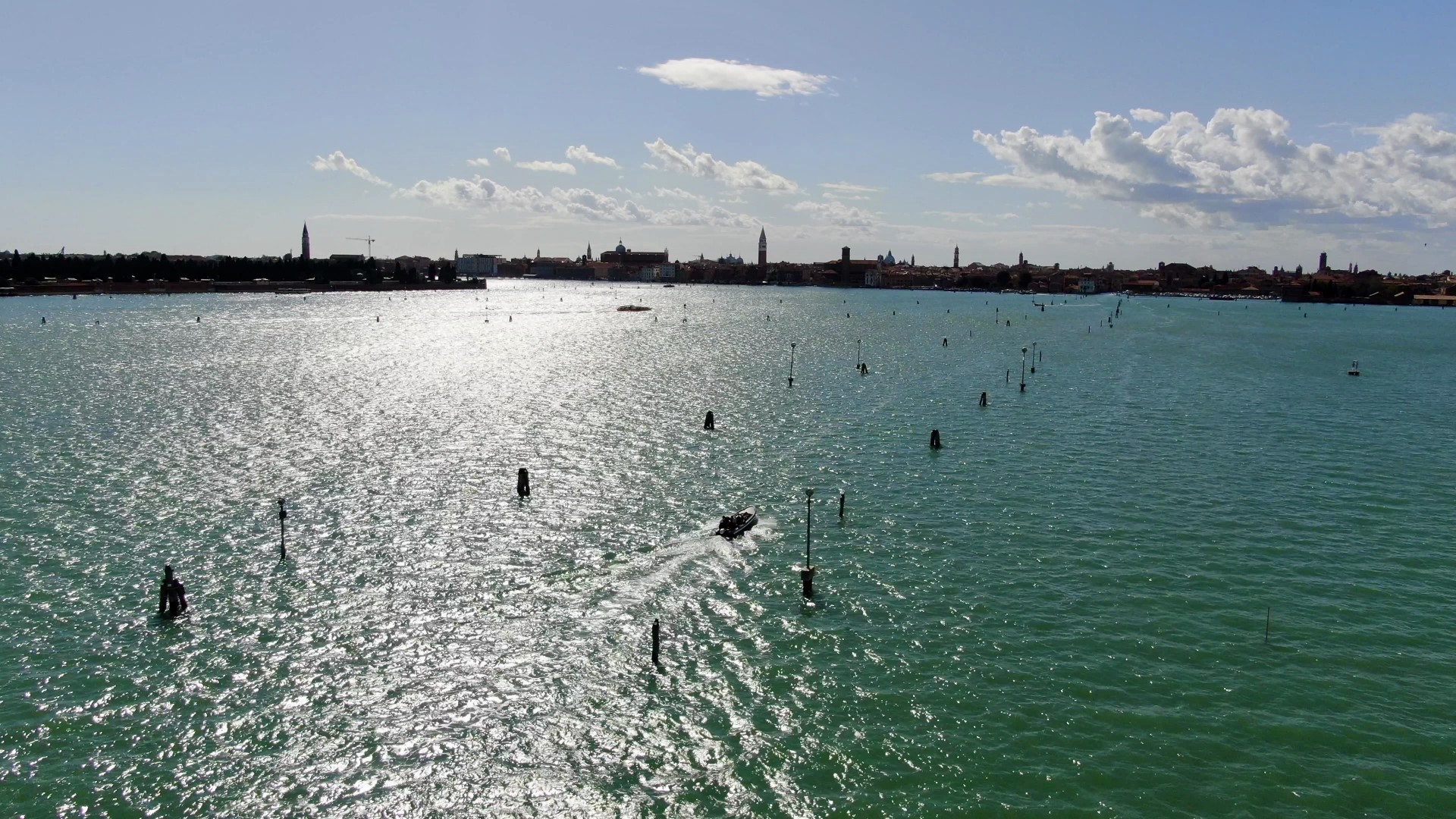 Visitatori inattesi a Venezia nella Giornata Mondiale dell’Acqua!