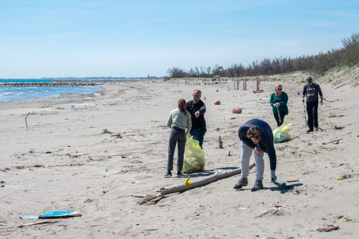 Litter collection