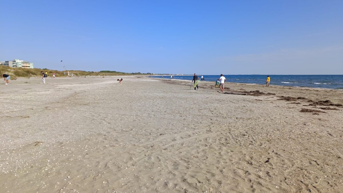 lido alberoni 