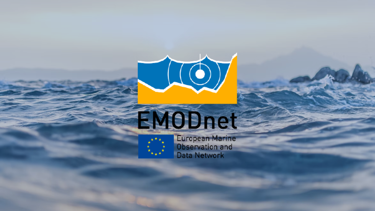 Venice Lagoon Plastic Free Data Provider di EMODnet