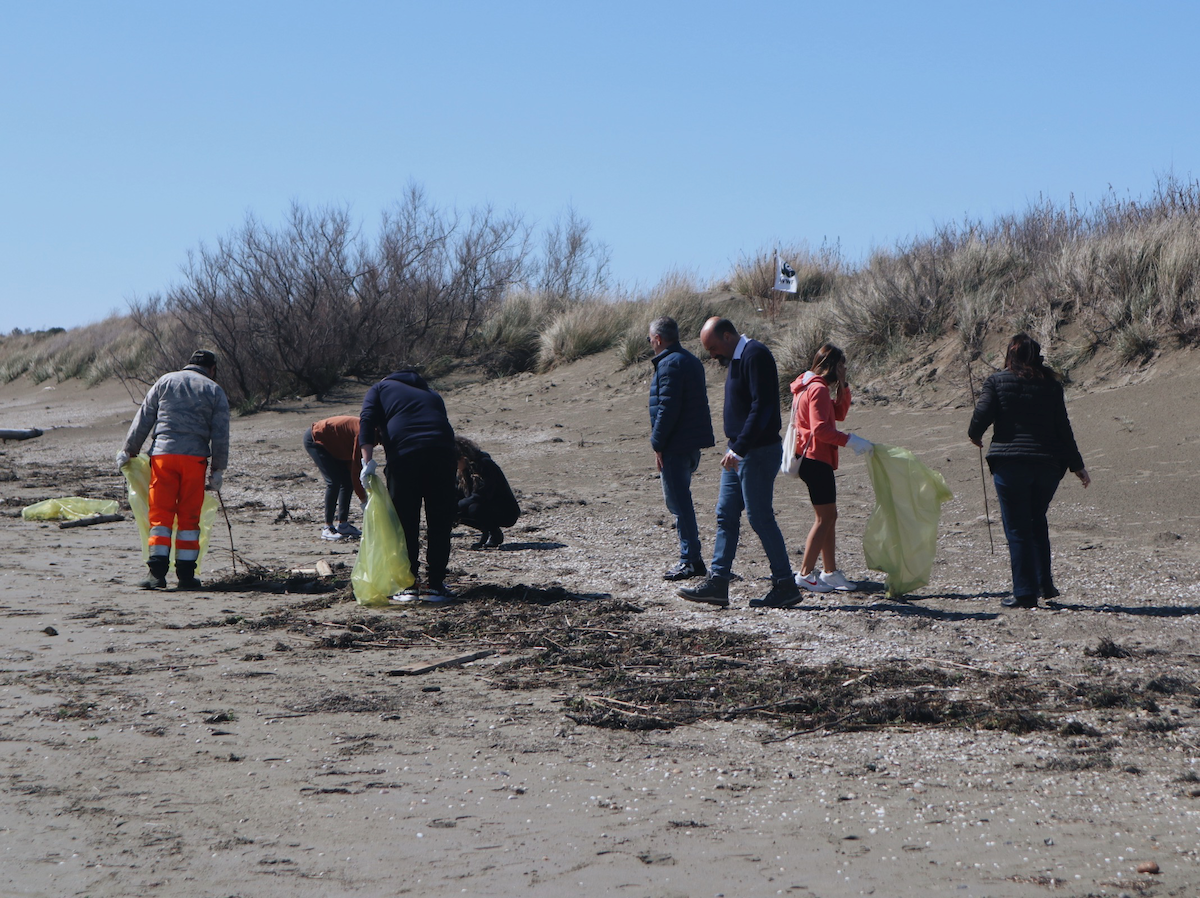 wwf and venice lagoon plastic free collecting marine litter and plastic waste at the alberoni sand dunes