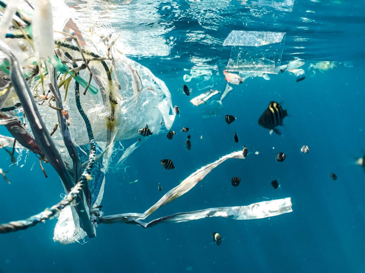 Plastic Pollution: Horizon Magazine interviews InNoPlastic and Venice Lagoon Plastic Free